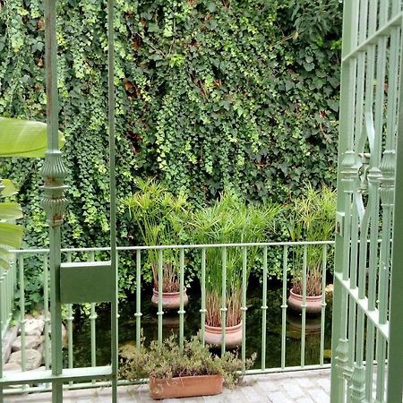 Gravina Comfort طريفة المظهر الخارجي الصورة