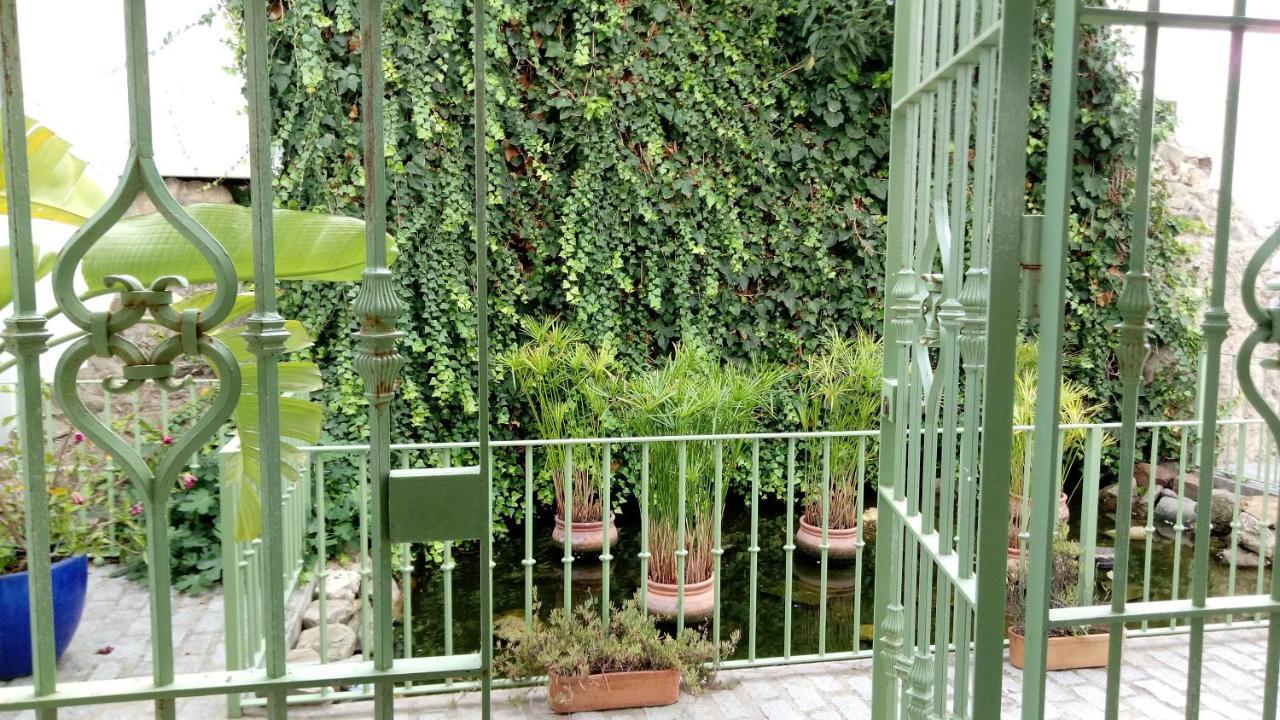 Gravina Comfort طريفة المظهر الخارجي الصورة