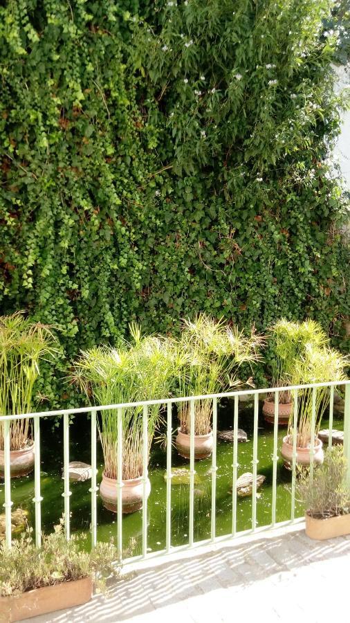 Gravina Comfort طريفة المظهر الخارجي الصورة