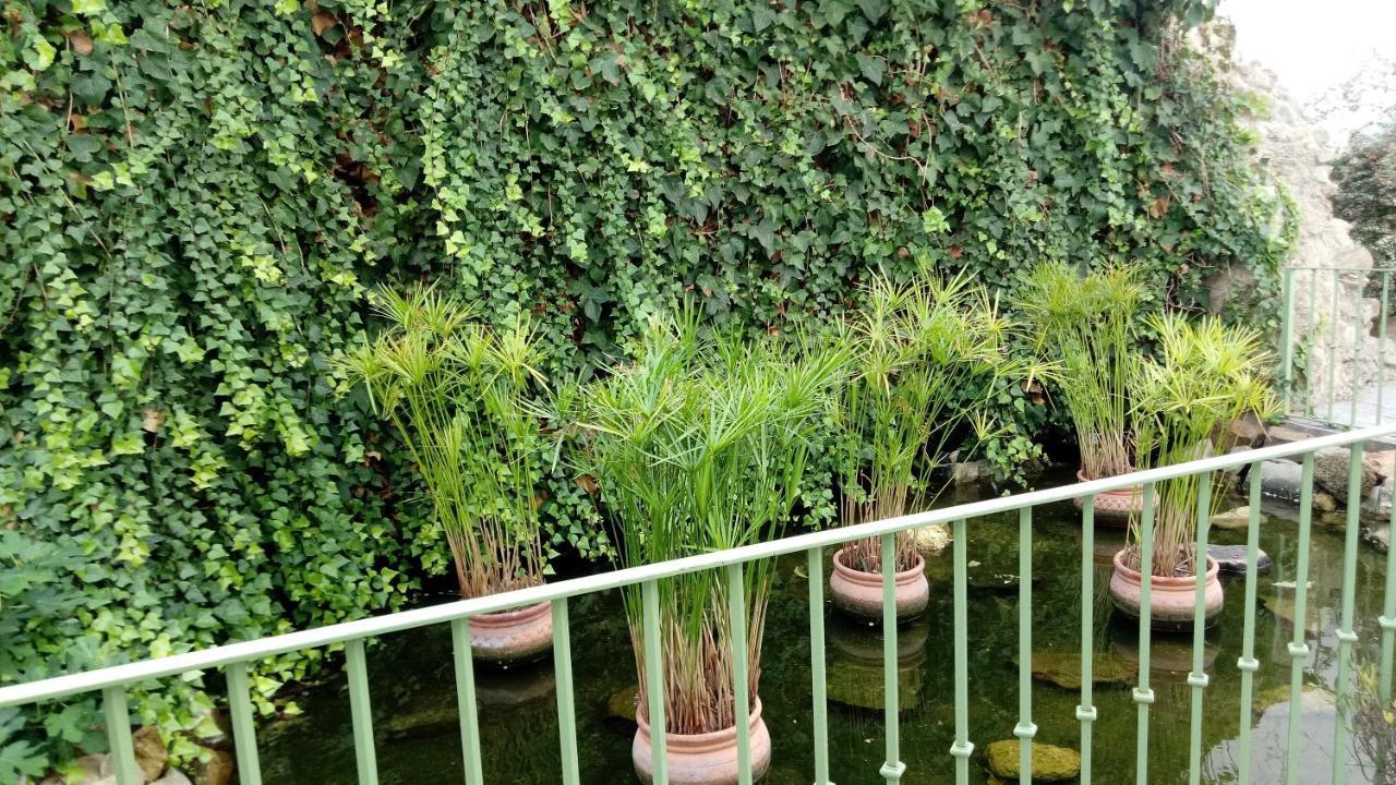Gravina Comfort طريفة المظهر الخارجي الصورة
